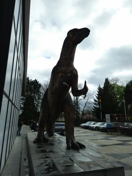 Natural History Museum (Royal Belgian Institute of Natural Sciences) Brussels (Belgium)